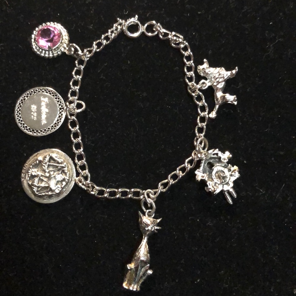 925 Sterling Silver Bracelet and 6 Unique Charms